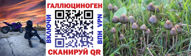 сайты даркнета наркотические препараты  Жердевка  Галлюциногенные грибы ЛСД 